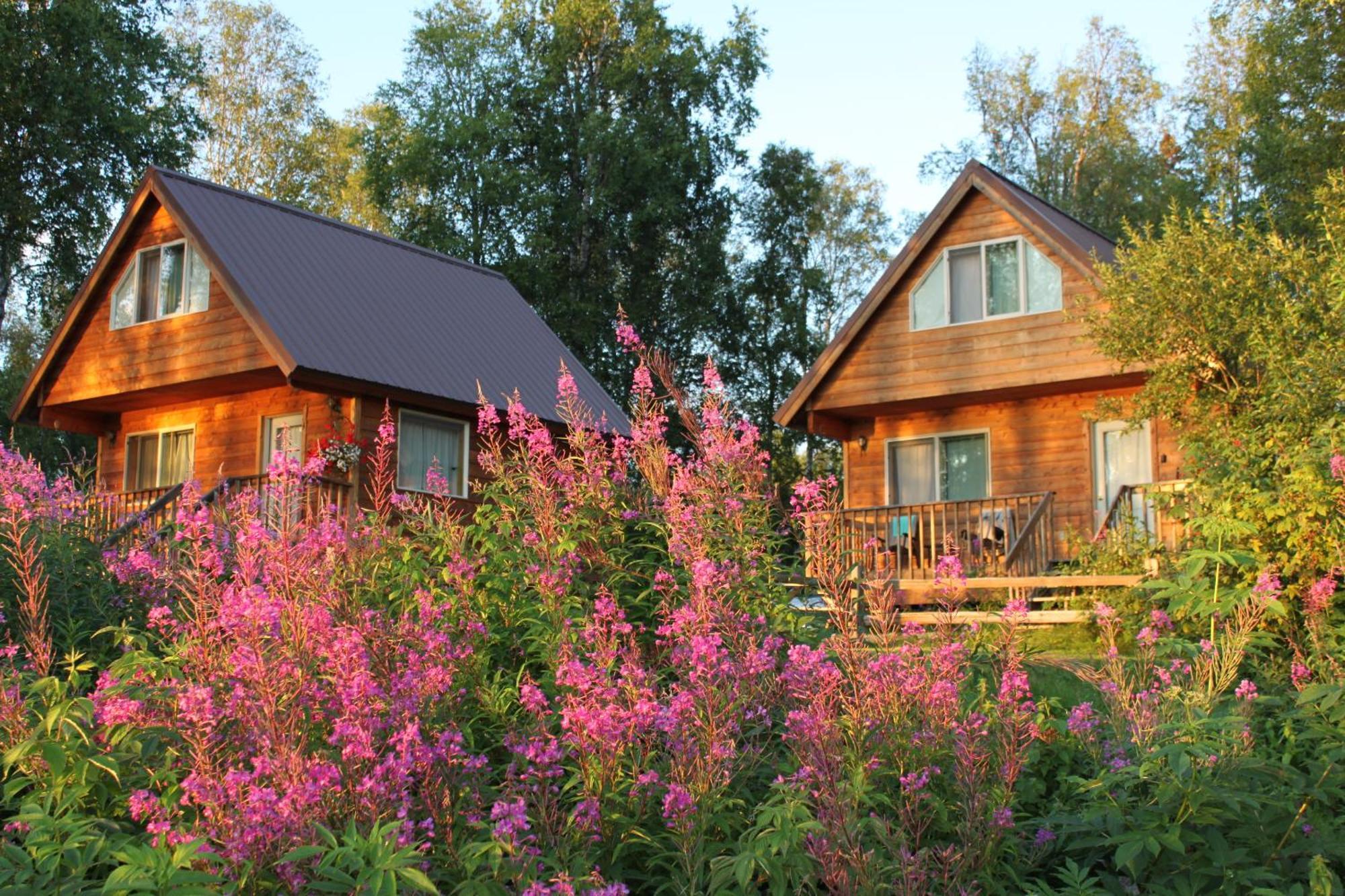 Susitna River Lodging, Riverside Cabins Talkeetna Dış mekan fotoğraf