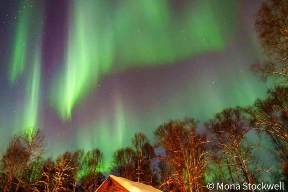 Susitna River Lodging, Riverside Cabins Talkeetna Dış mekan fotoğraf