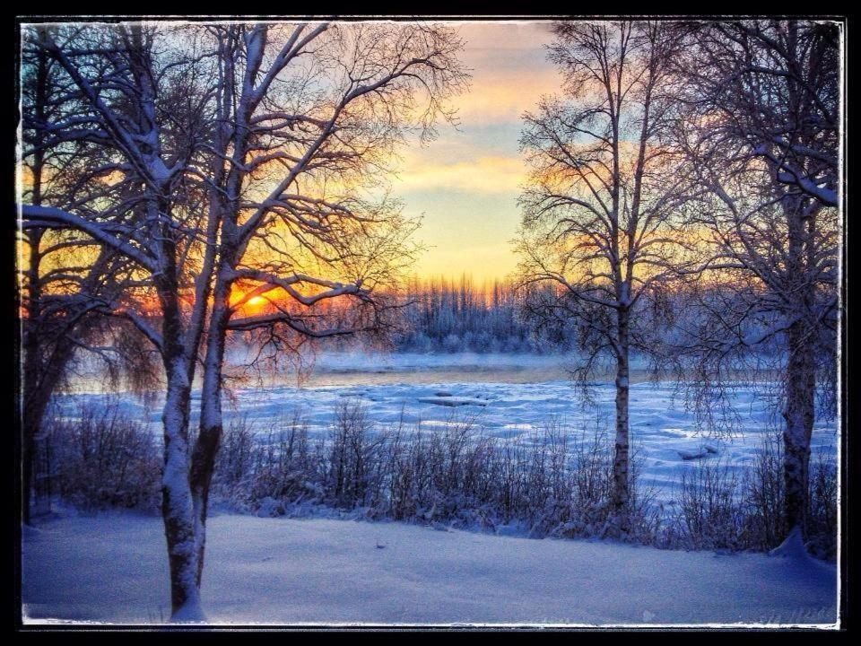 Susitna River Lodging, Riverside Cabins Talkeetna Dış mekan fotoğraf